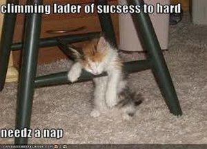 http://theptdc.com/wp-content/uploads/2011/08/Lol-cats-success.jpg